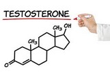 Testostérone et désir sexuel